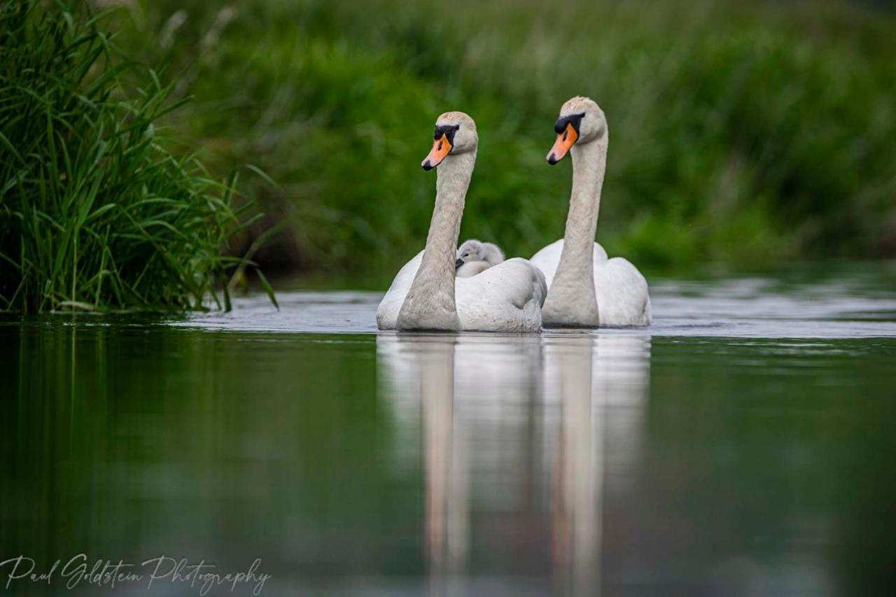 Отель Carrick'S At Castle Farm Swanton Morley Экстерьер фото